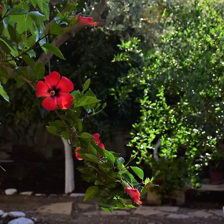 Holiday home Lena *